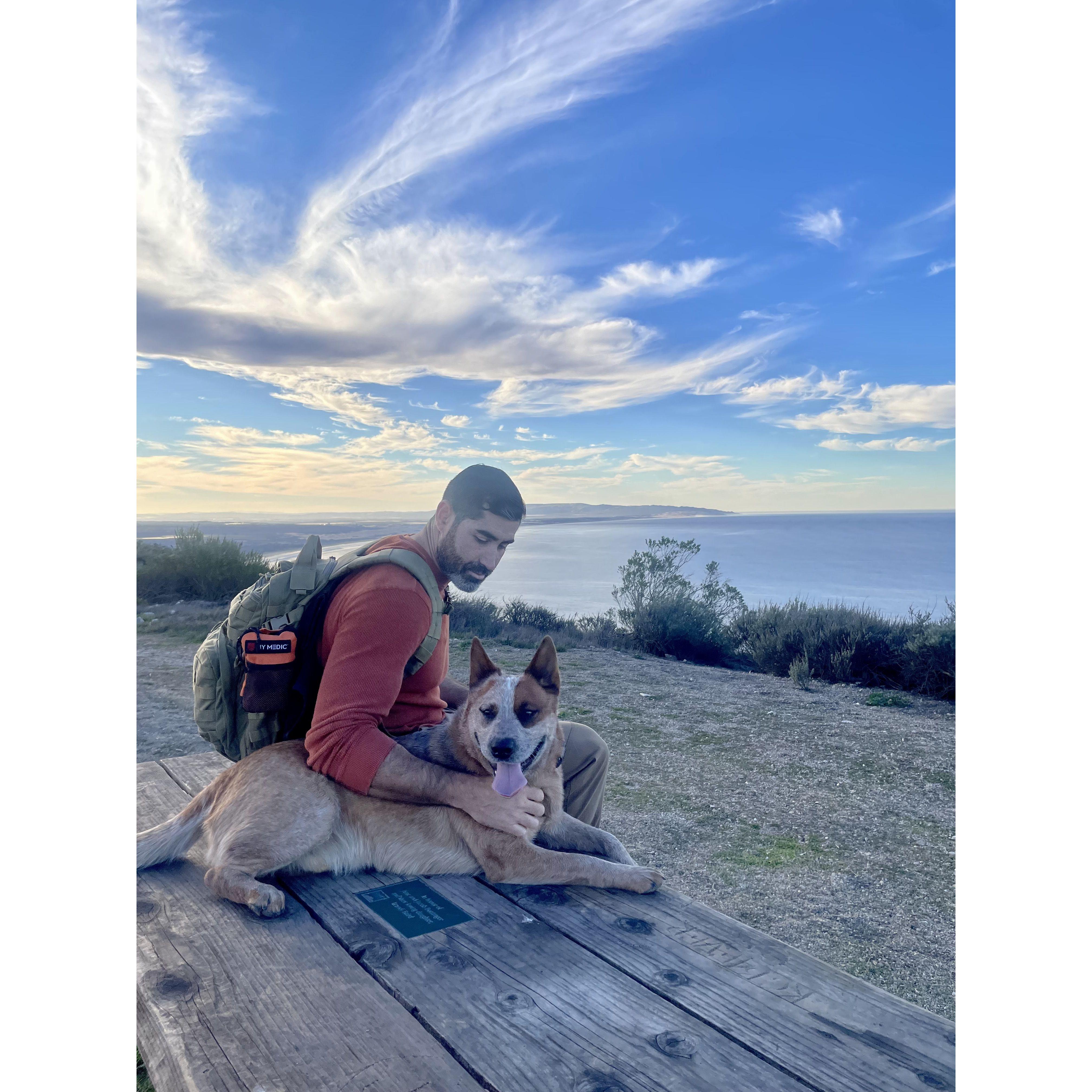 Hiking with Fig