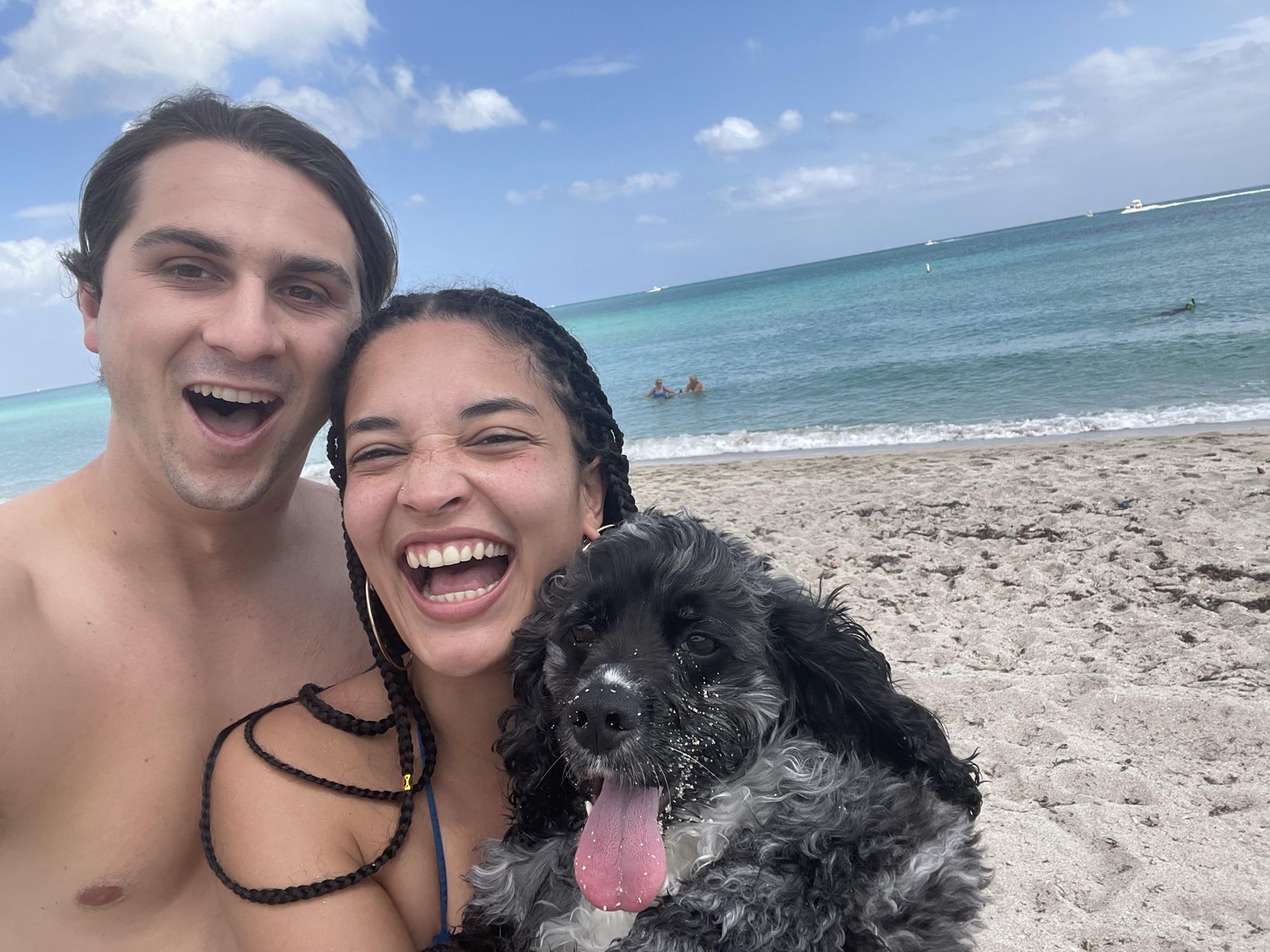 Dog beach in Miami, 2021.