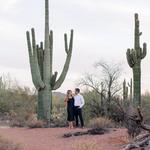 Tonto National Forrest