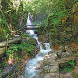 Franconia Notch State Park & Flume River Gorge
