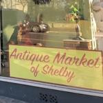 THRIFTING!!! (Antique Market of Shelby)