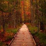 Best hiking trails