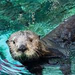 The Maritime Aquarium at Norwalk