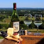 Bluemont Vineyard