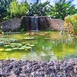 Fruit & Spice Park