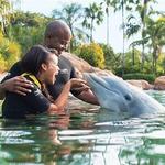Discovery Cove