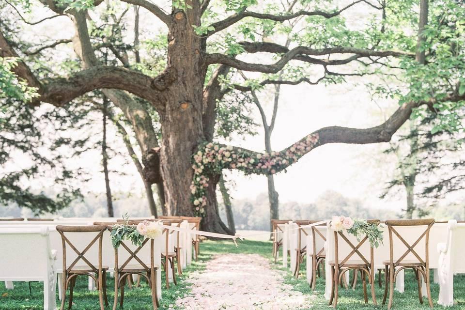 The Wedding Website of Noah Troyer and Kelsi Emmorey