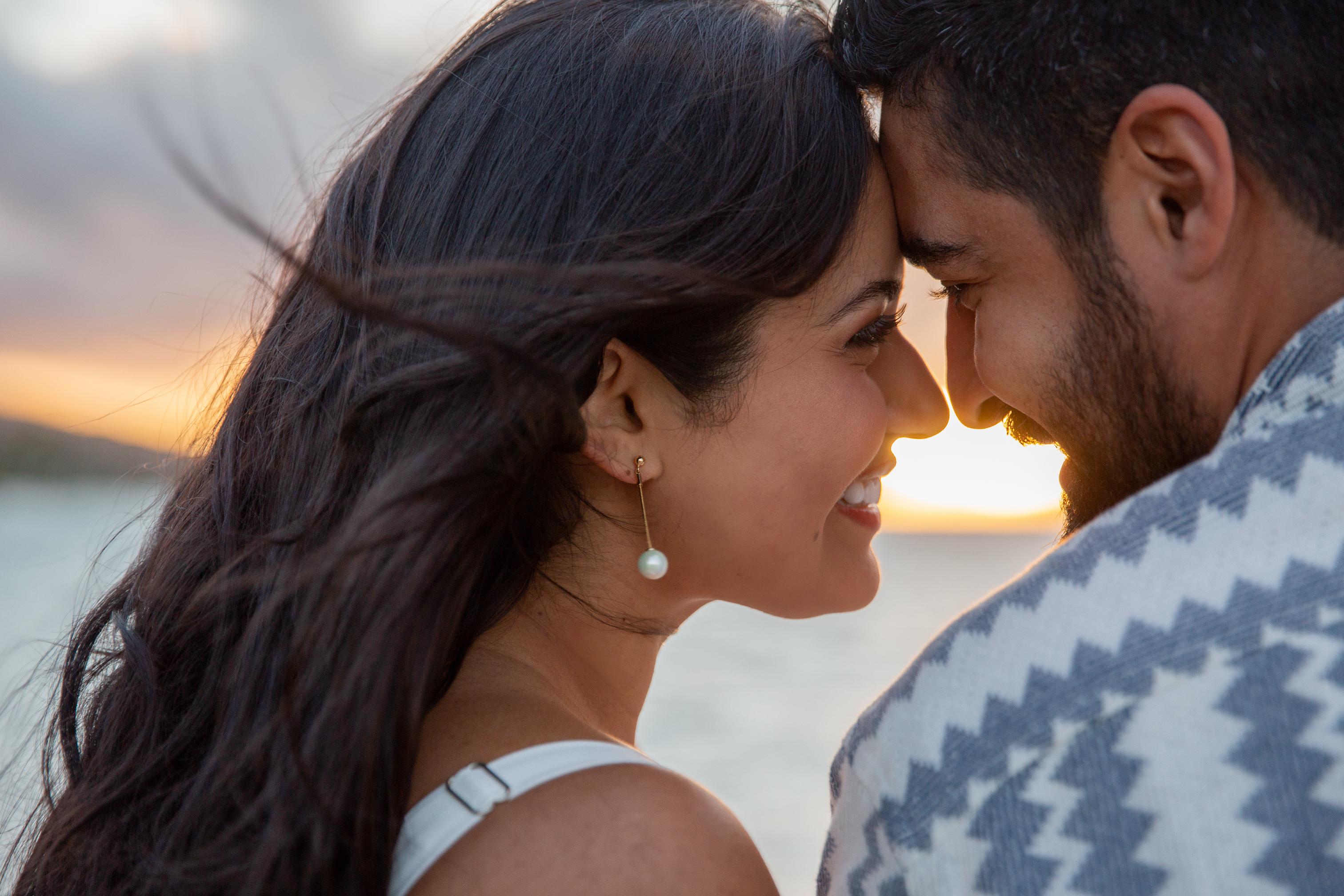 The Wedding Website of Nisha Karwal and Gabriel Arce