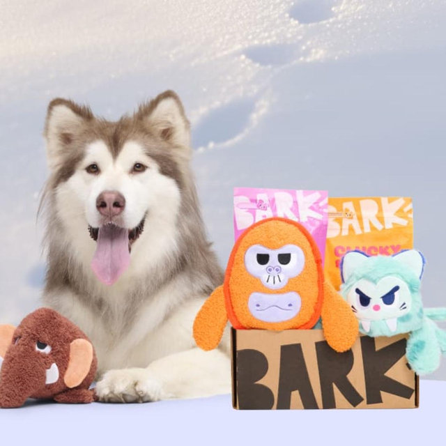 BarkBox Subscription