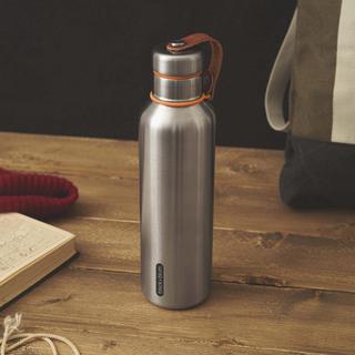 Stainless Steel Insulated Water Bottle