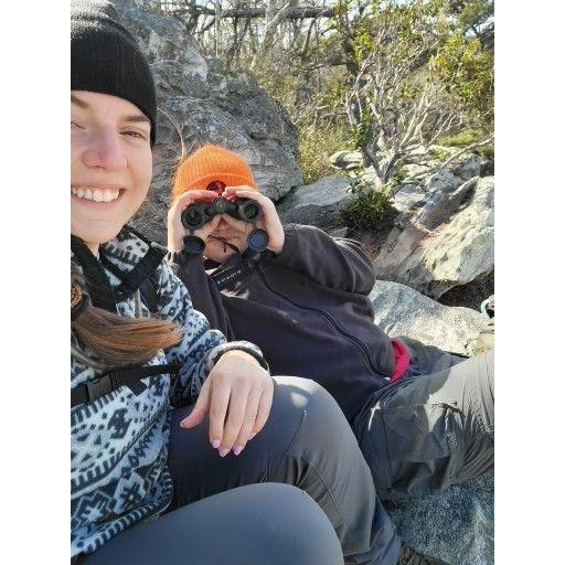 Observing from the summit of Hanging Rock