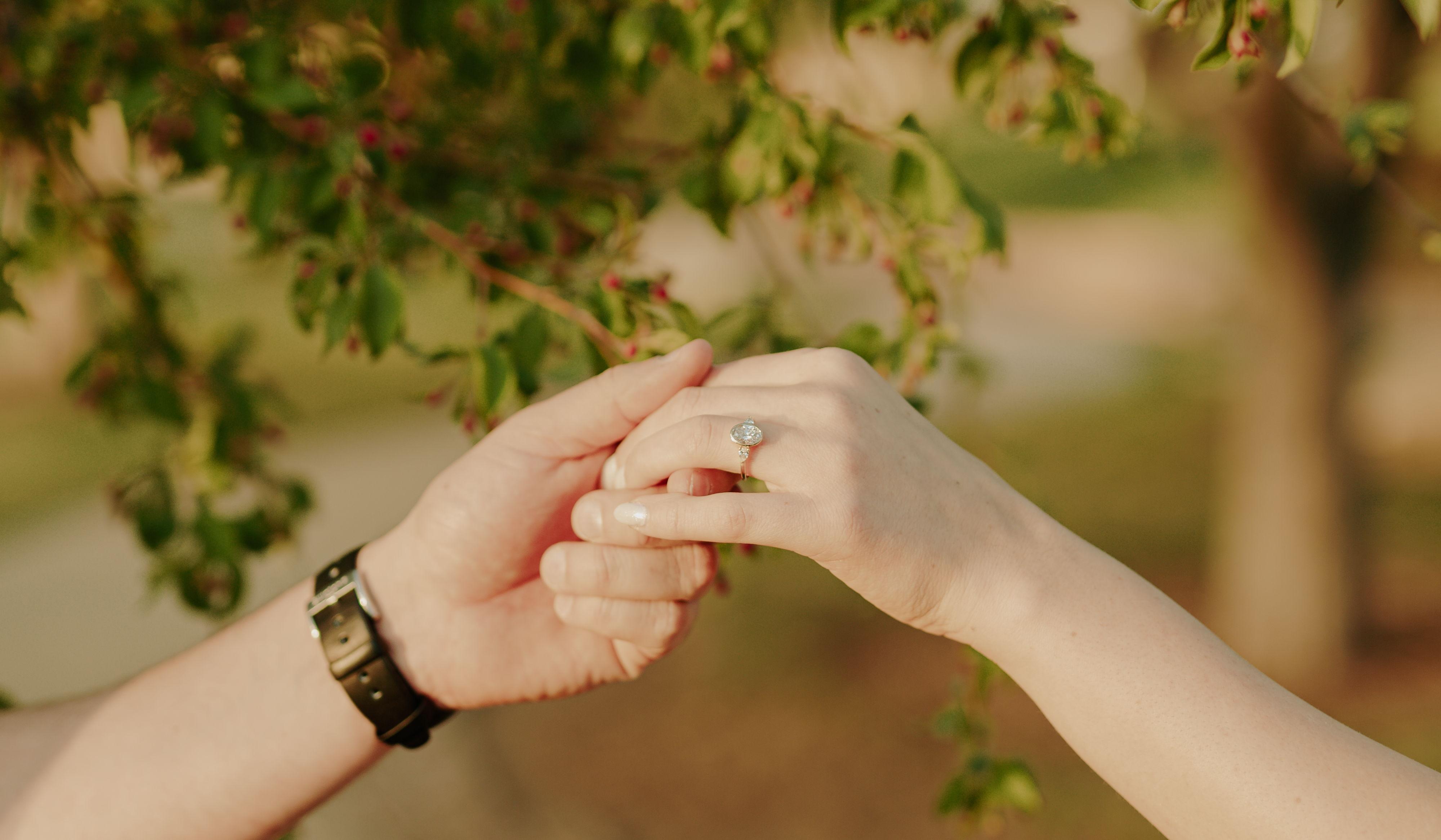 Footer image