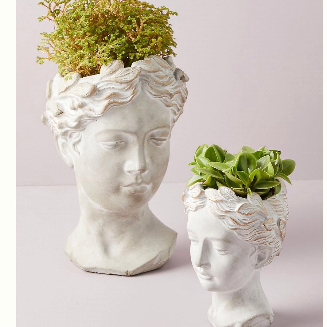 Grecian Bust Pot