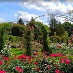 Elizabeth Park Rose Garden