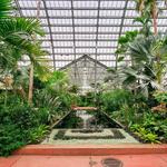 Garfield Park Conservatory