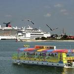 Cocoa Beach Dolphin Tours