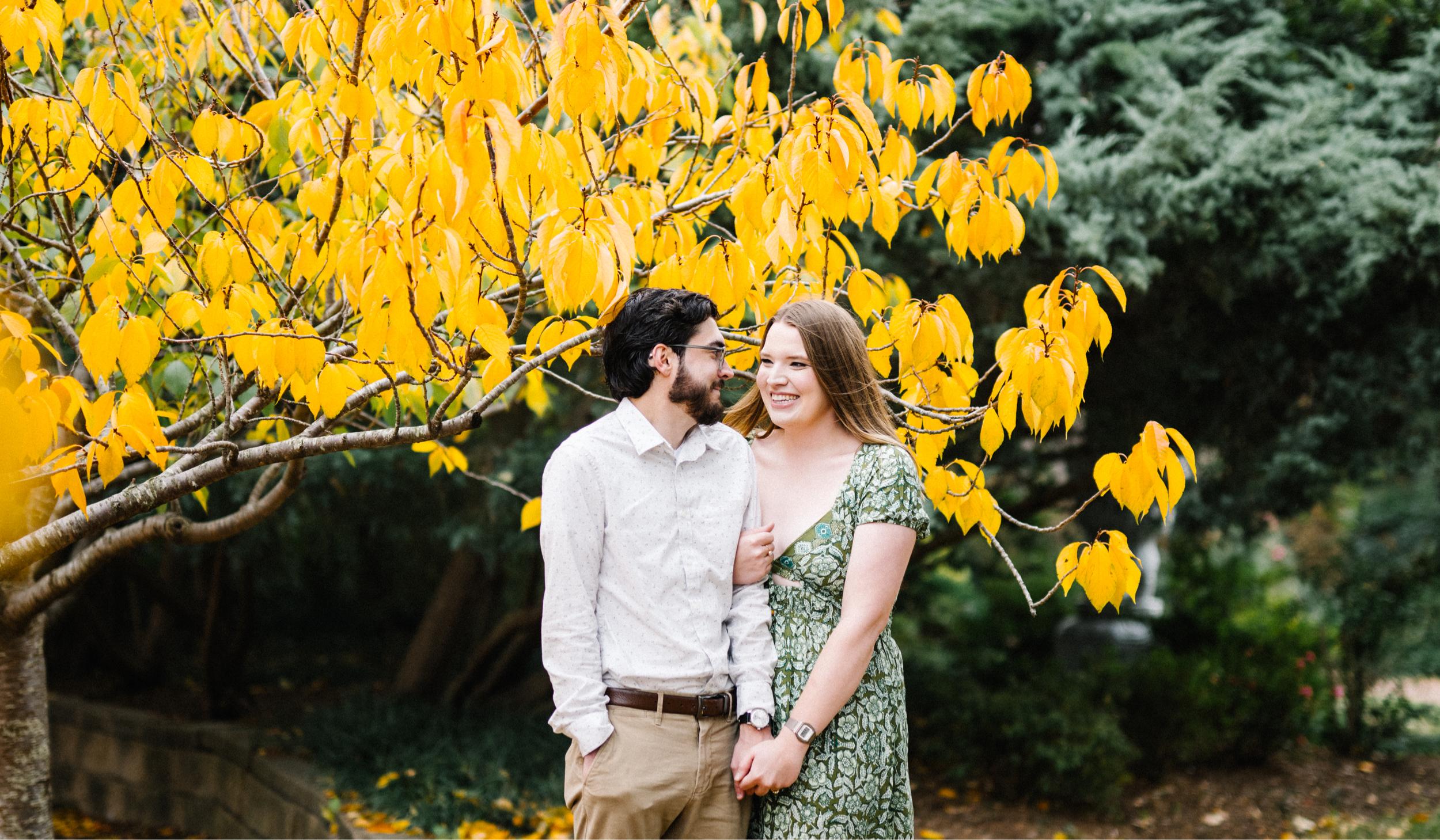 02b8d4bb-43cb-46ac-8ae1-c6aaa403e1bd