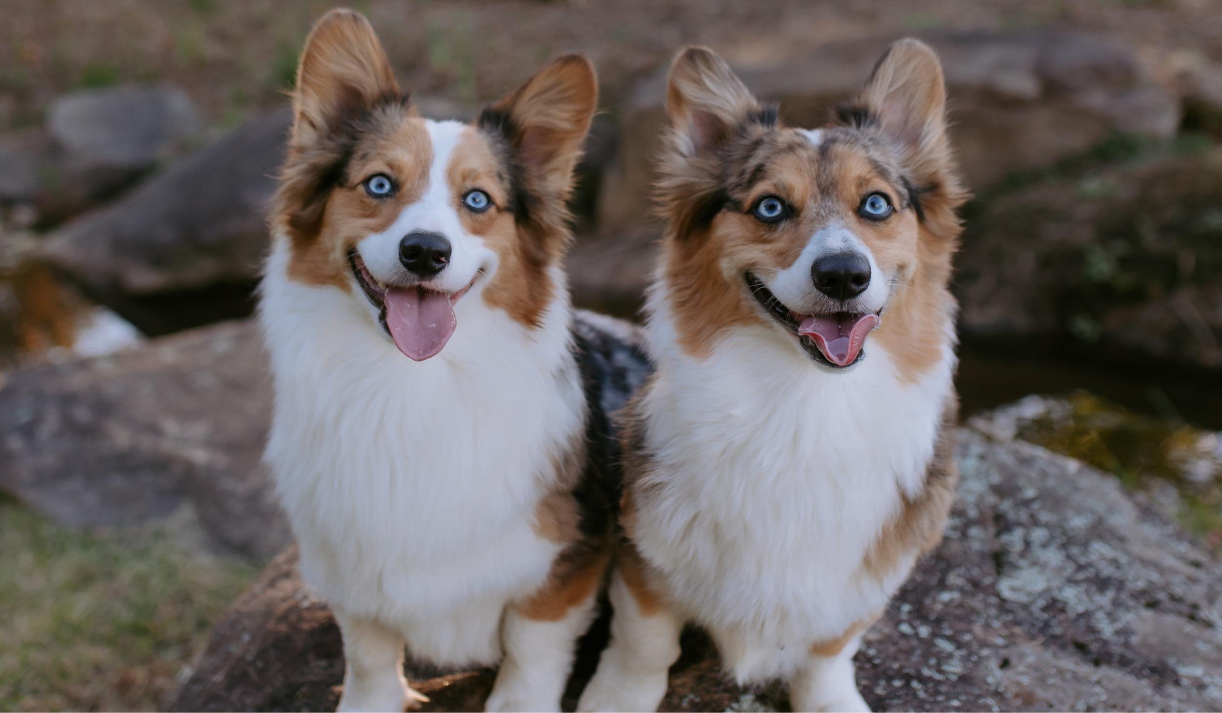 02babadb-6702-42bd-b337-ff7ebe7688c4