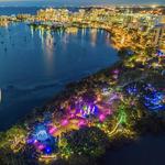 Lights in Bloom®: An Open-air Holiday Light Show