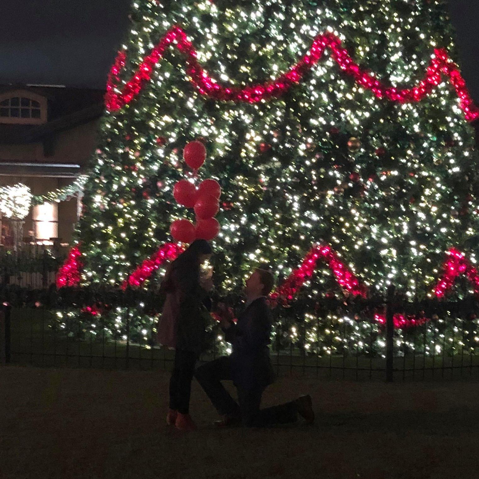 The proposal, December 2018