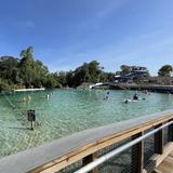 Weeki Wachee Spring