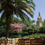 Explore Montjuic