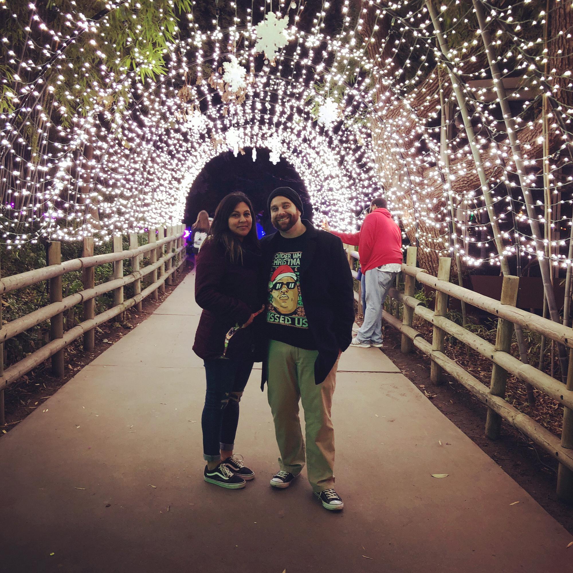 Zoo lights