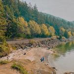 Teddy Bear Cove