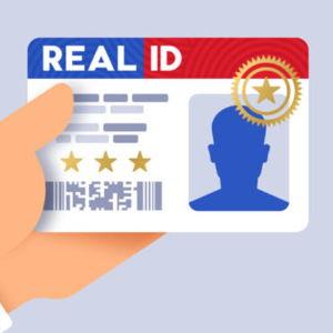Driver's License Updates