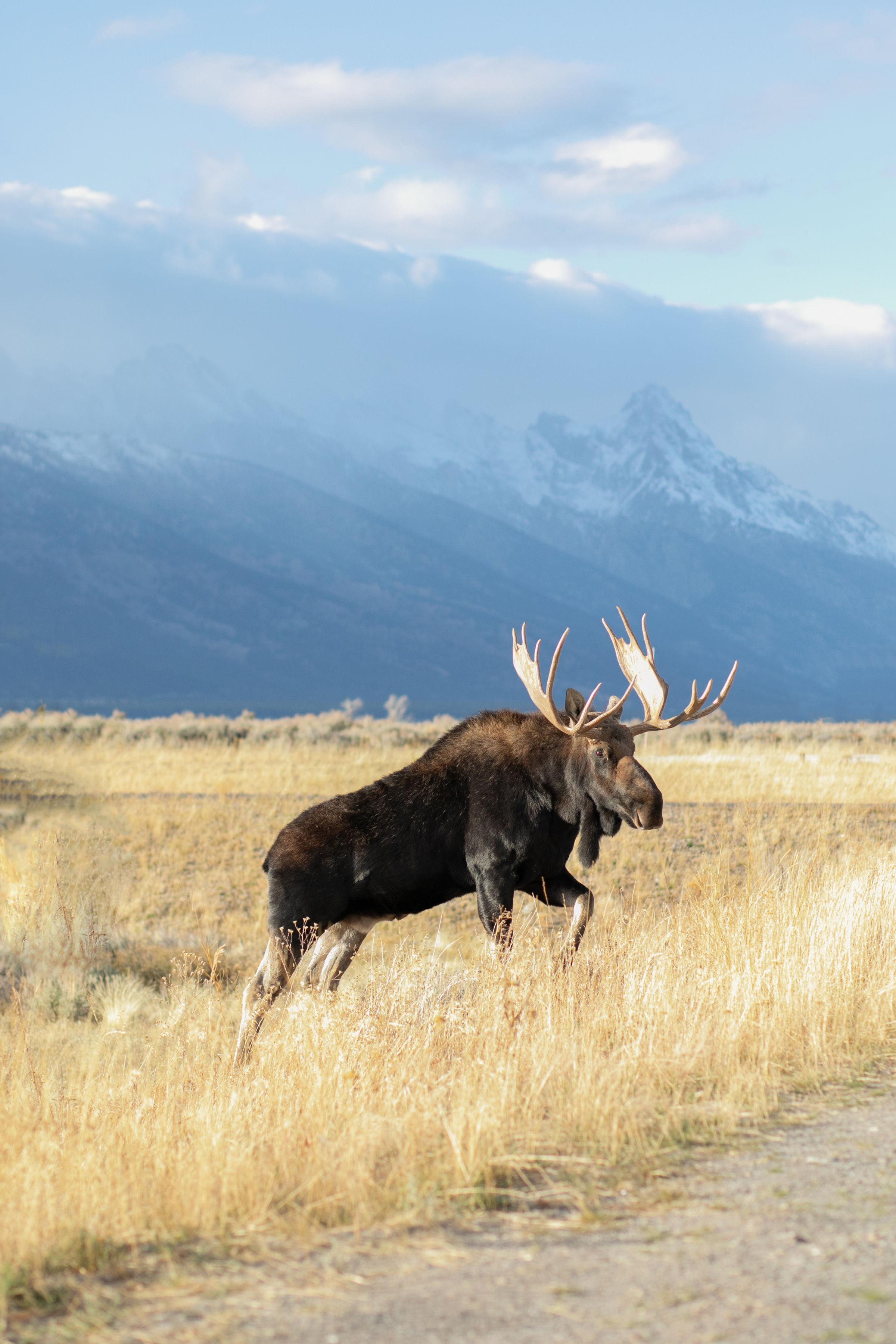 The Wedding Website of Cortney Rodriguez and Matt Enoch