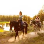 Jackson Lake Lodge: Horseback Riding