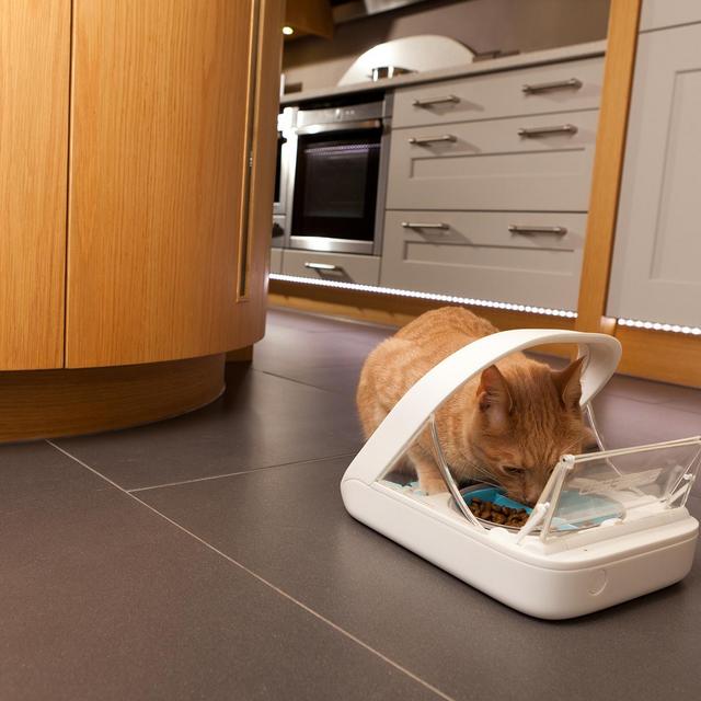 Microchip Activated Pet Feeder - Separate Dog/Cat Food