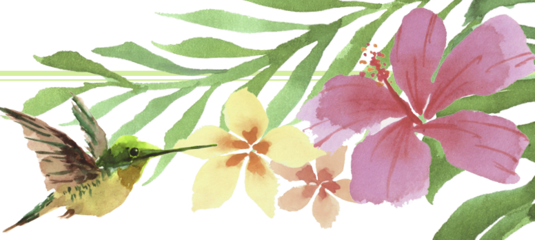 The Wedding Website of Darren Gary and Elizabeth Byrns