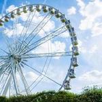 Family Kingdom