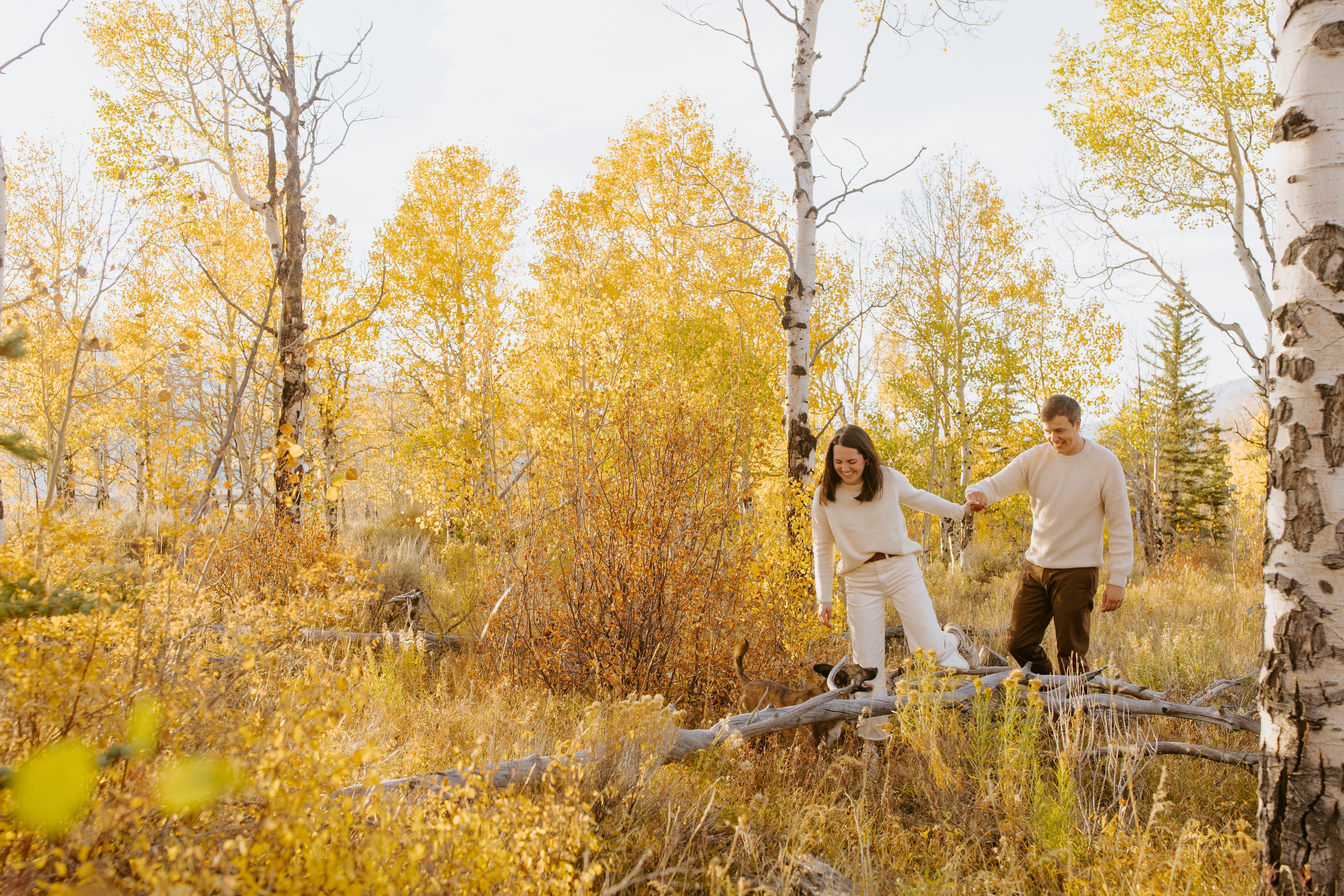 The Wedding Website of Madeline Ludwig and William Rainey