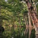 Blue Hole Regional Park