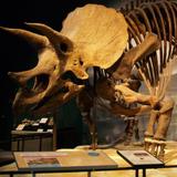 Science Museum of Minnesota