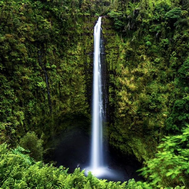 Waterfall watching