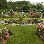 James P. Kelleher Rose Garden