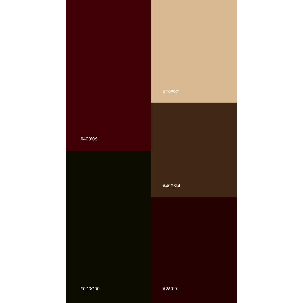 2. Example Color Swatches for the Wedding. Aiming for dark Winter colors and ideally nothing light. Okay with golds and silvers but no light pinks or ivories. Tuxes recommended for men.
