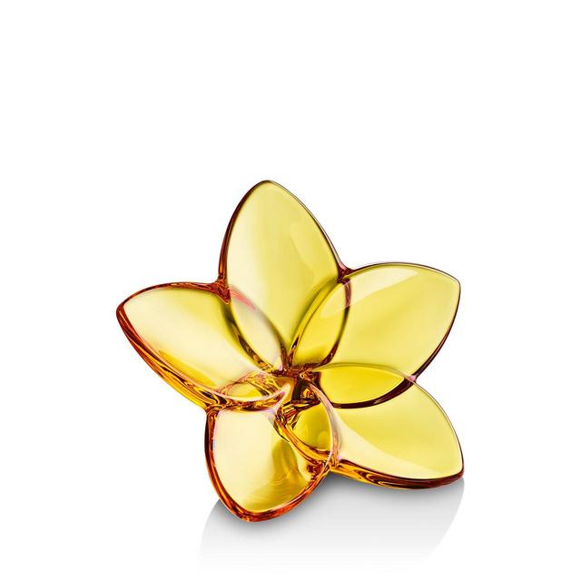 Baccarat Bloom
