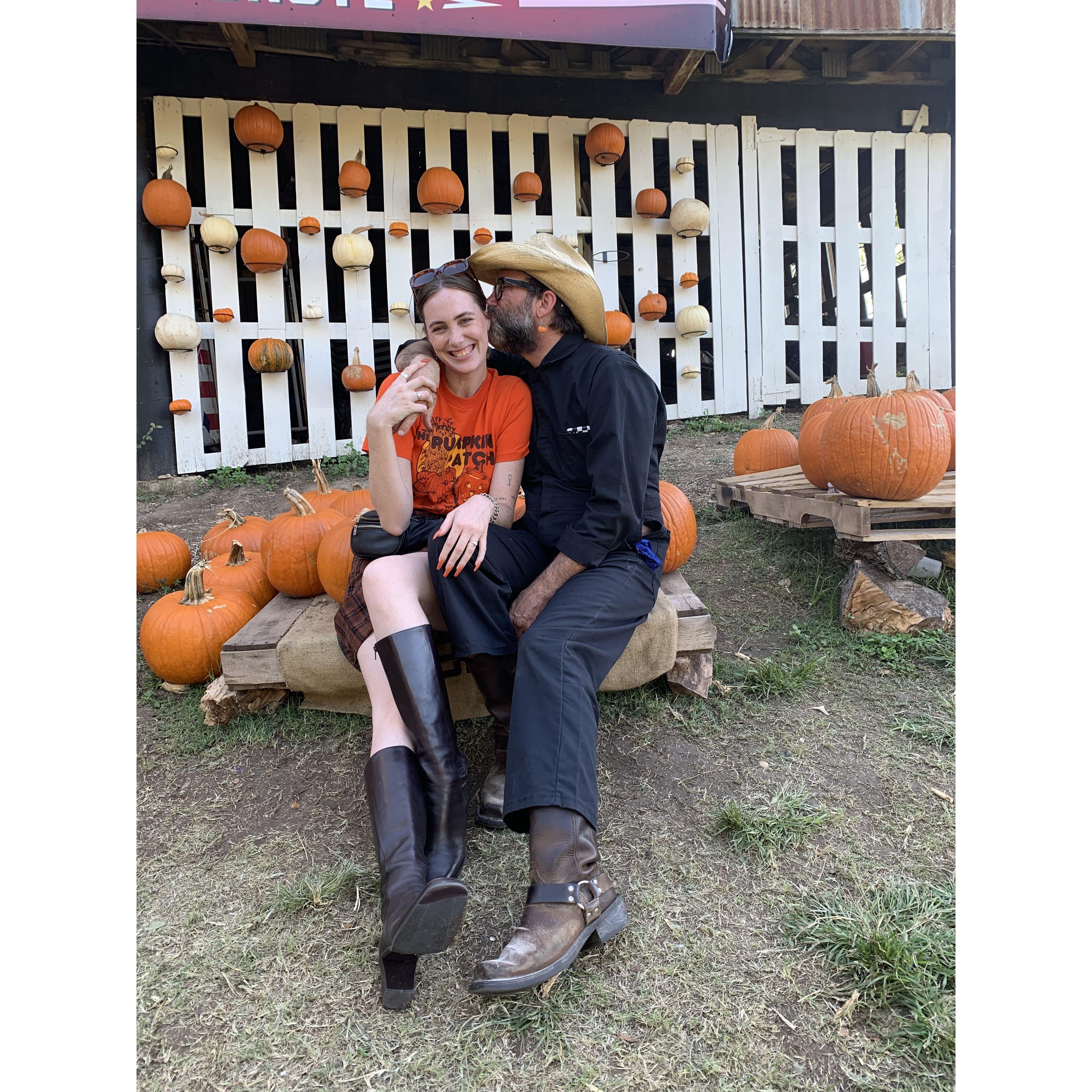 Pumpkin patch 2021