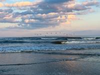 Carolina Beach