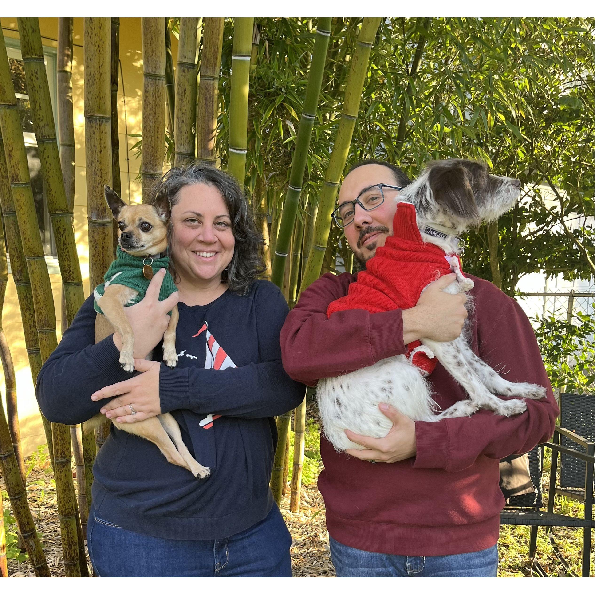 Jen and Guido are happier than ever living in Seattle together and raising their two fur babies, Pedro (left) and Sansa (right)