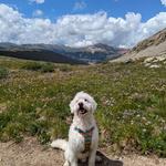 Mayflower Gulch Trail