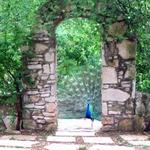 Mayfield Park and Nature Preserve