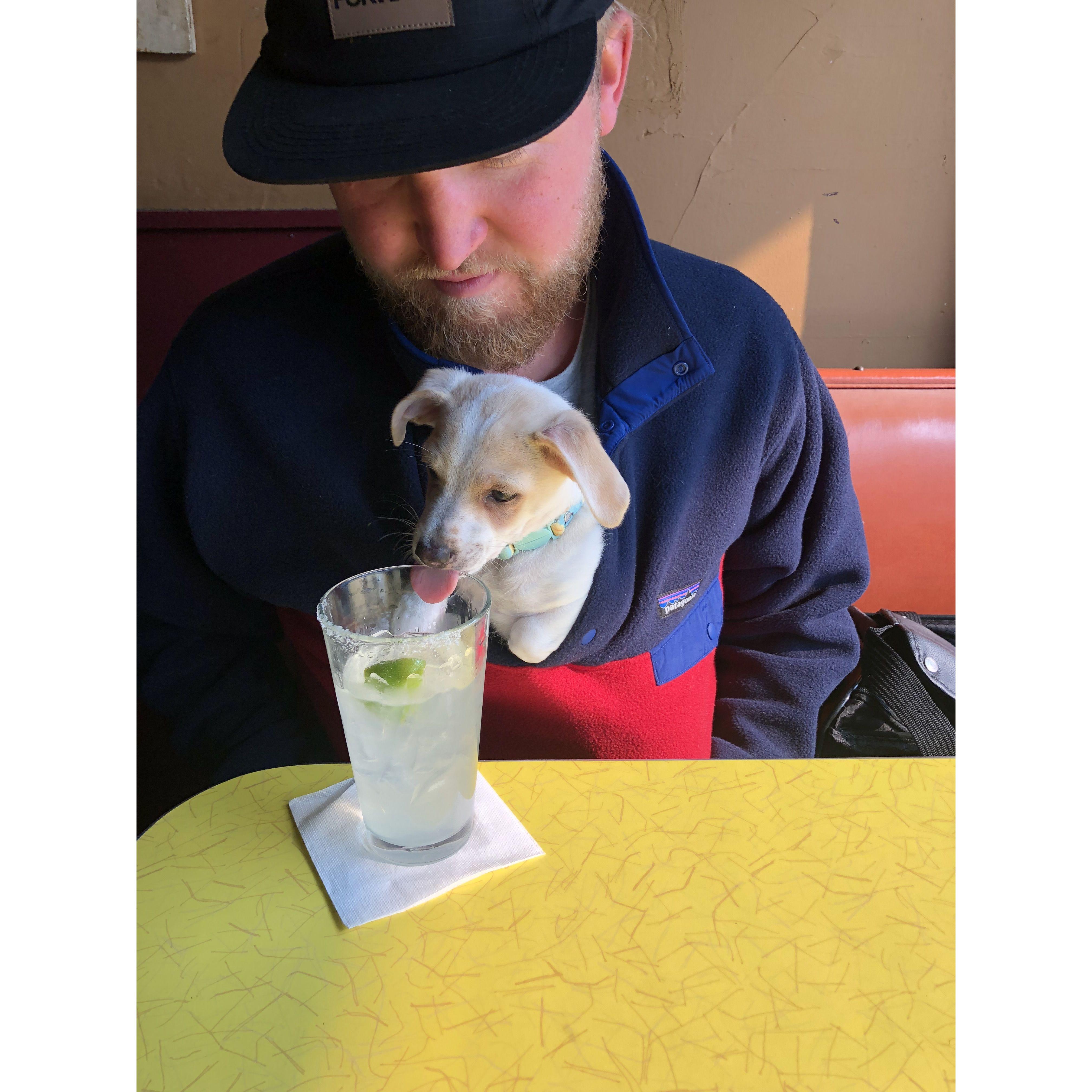 Stealing sips