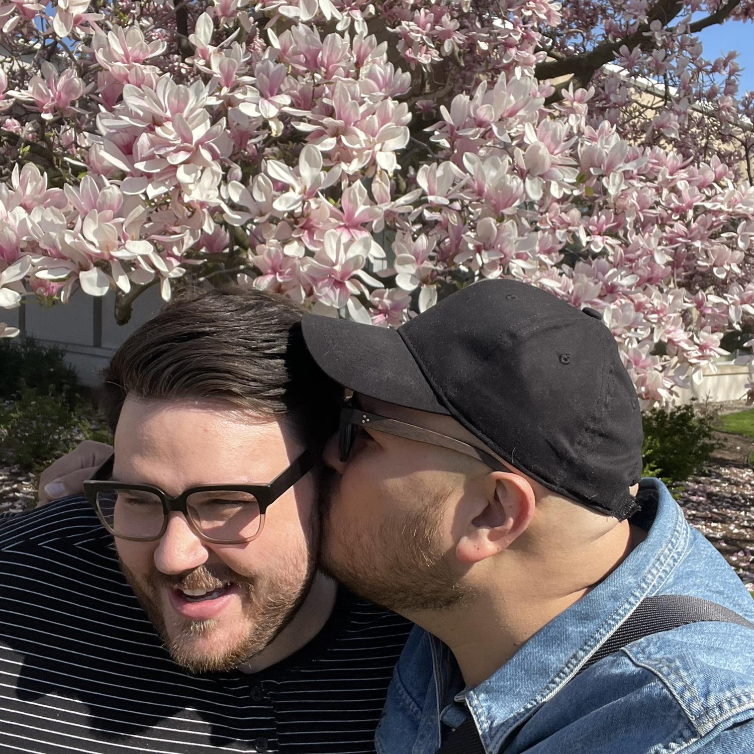 Visiting Holland, MI for the Tulip Festival.