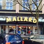 Mallard Ice Cream