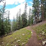 Dercum Summit Hiking Trail